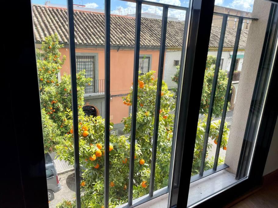 El Balcon De Los Naranjos Cordova Esterno foto